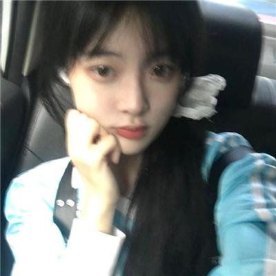 巨齿鲨2